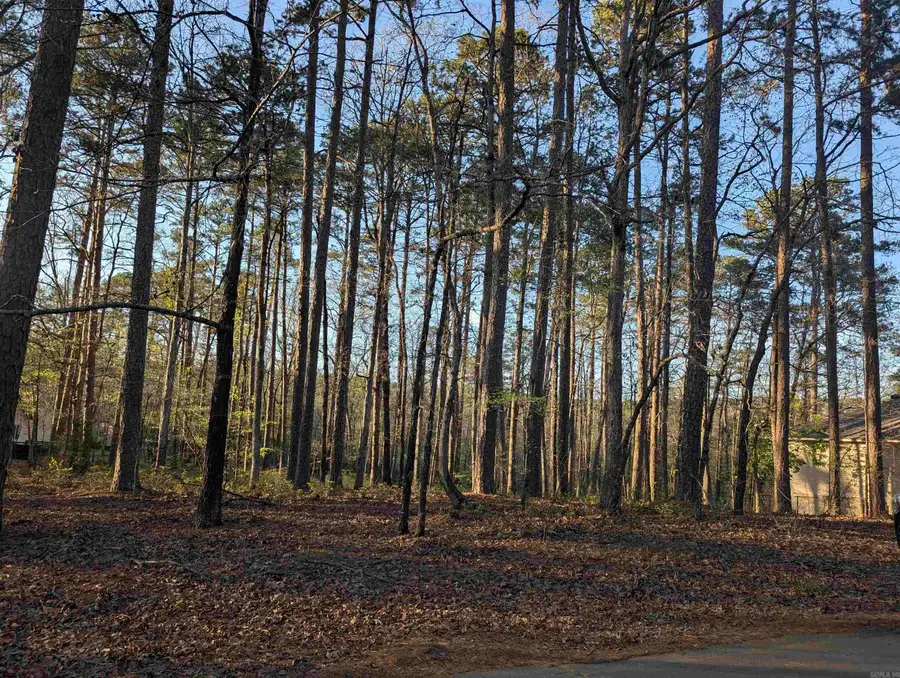 47 Huesca Way, Hot Springs Village, AR 71909 - #3