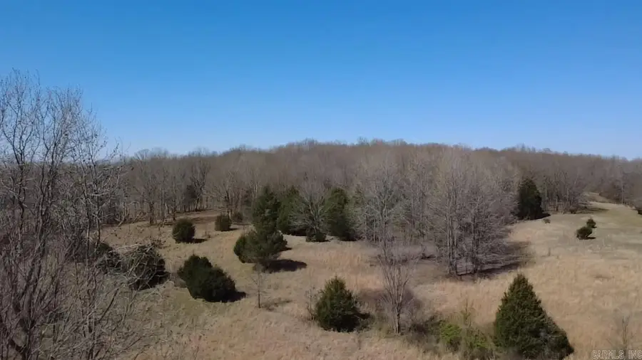 0000 402 Rd, Lafe, AR 72436 - #2