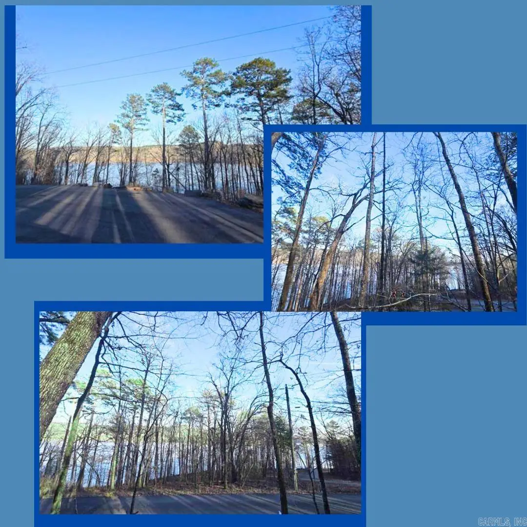 Lot 66 Lower Ridge Circle, Edgemont, AR 72044 - #1