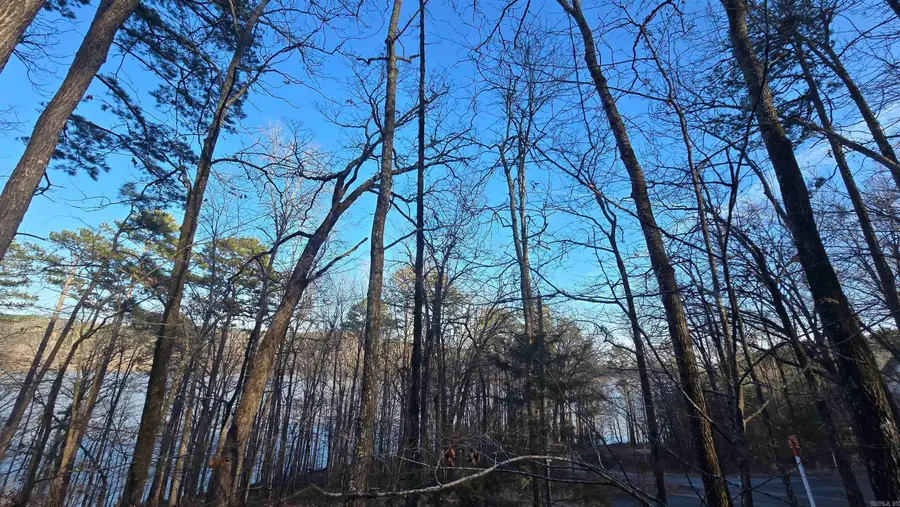 Lot 66 Lower Ridge Circle, Edgemont, AR 72044 - #2