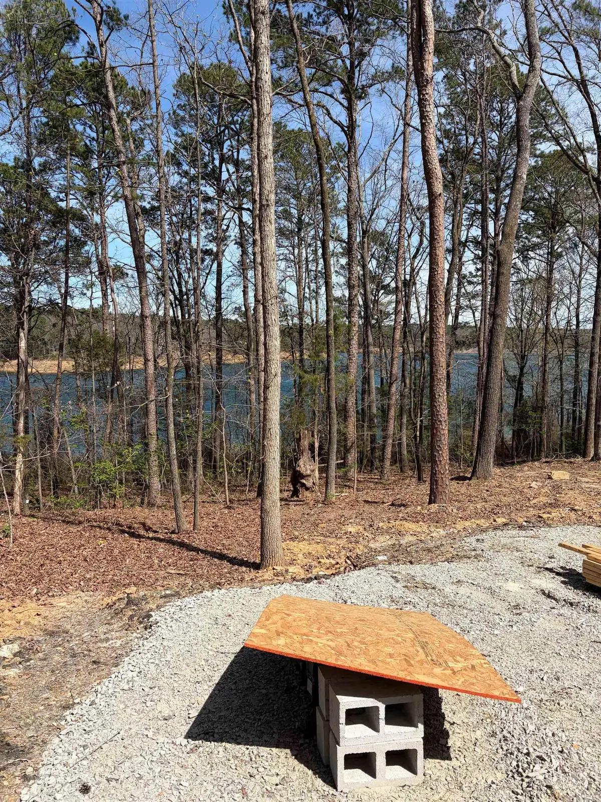 35 Parrott Point, Drasco, AR 72530 - #1