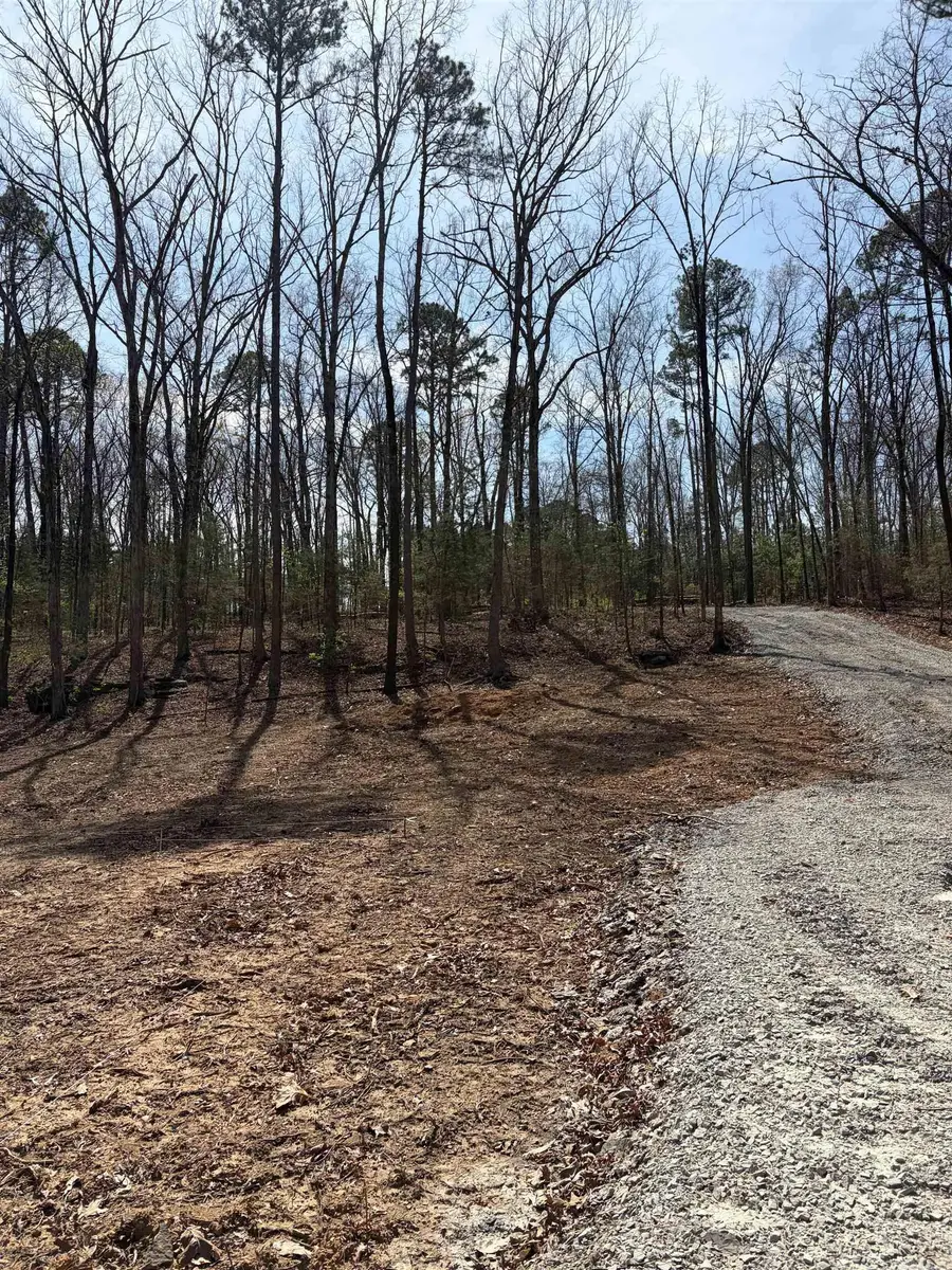 35 Parrott Point, Drasco, AR 72530 - #2