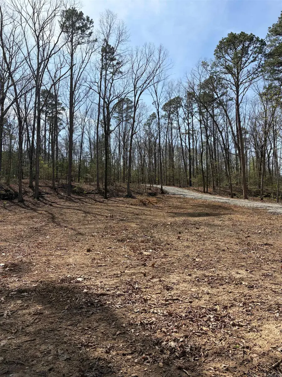 35 Parrott Point, Drasco, AR 72530 - #3