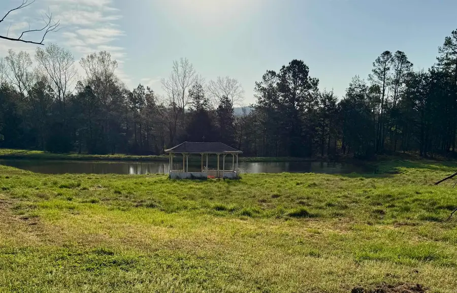 627 Old Caddo Gap Road, Bonnerdale, AR 71933 - #2