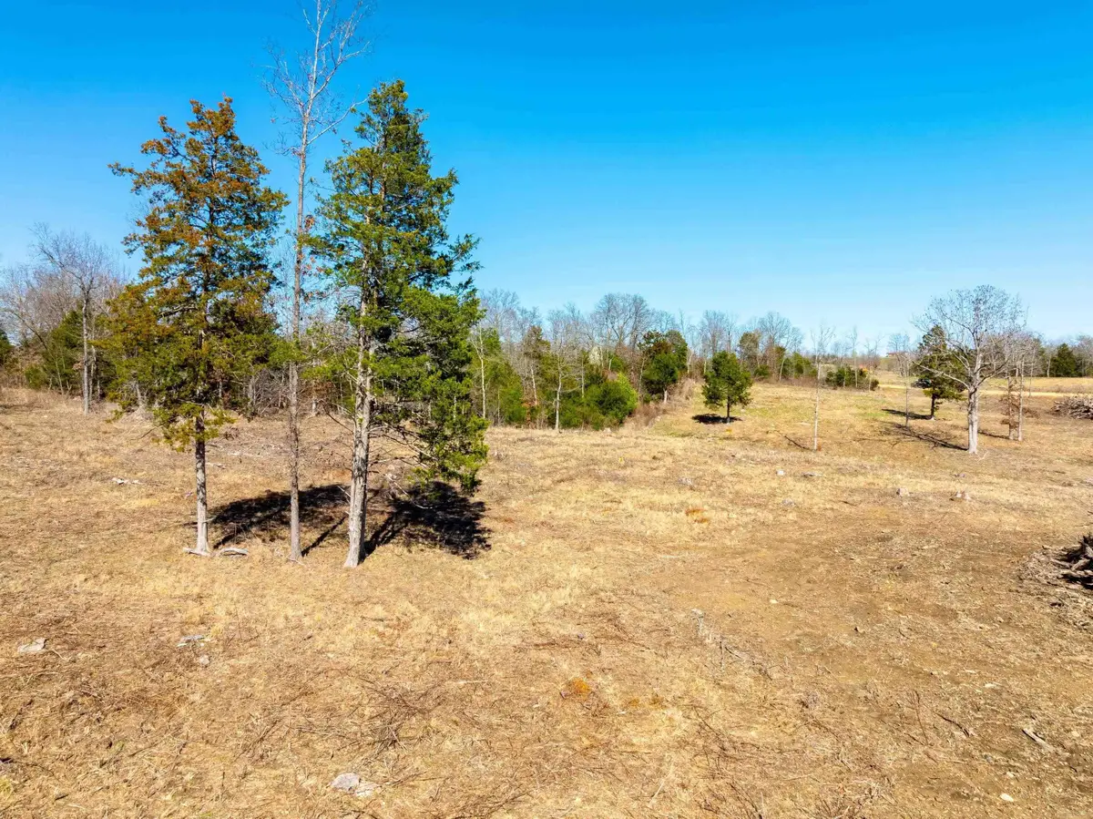 Green Valley Rd, Viola, AR 72583 - #1