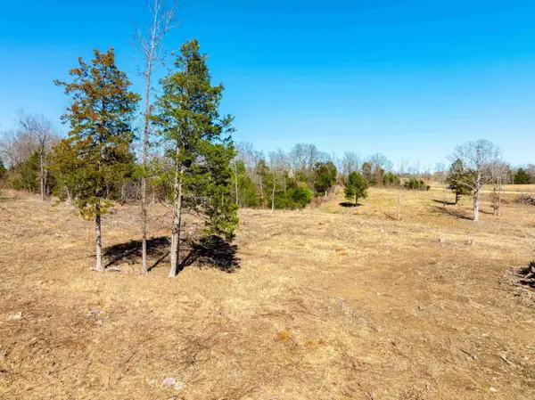 Green Valley Rd, Viola, AR 72583