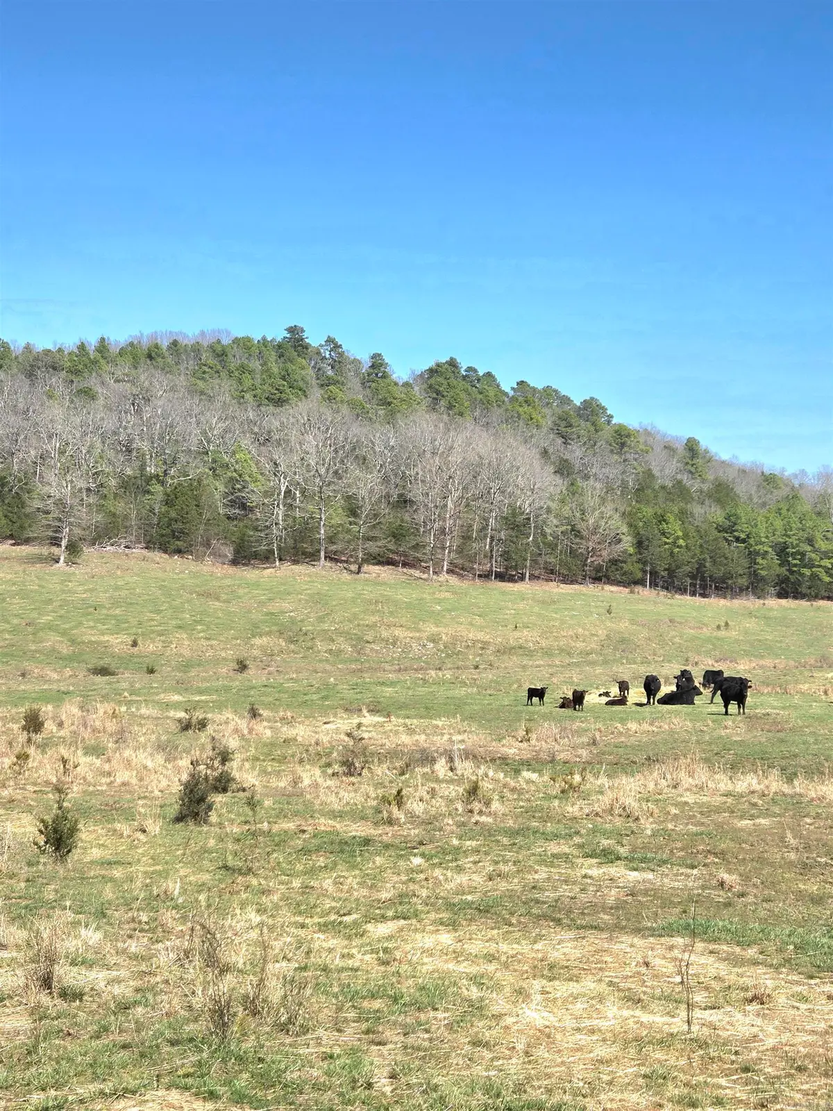 311 Rock Hill Road, Bryan, AR 72528 - #1