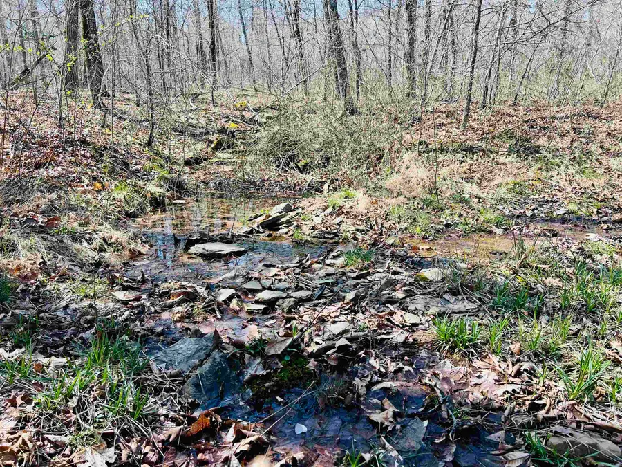 Golden Pond Lane, Witts Springs, AR 72686 - #3