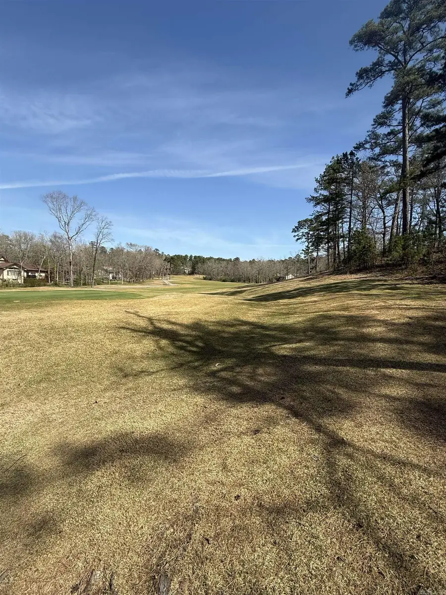 104 Ferdinand Way, Hot Springs Village, AR 71909 - #3