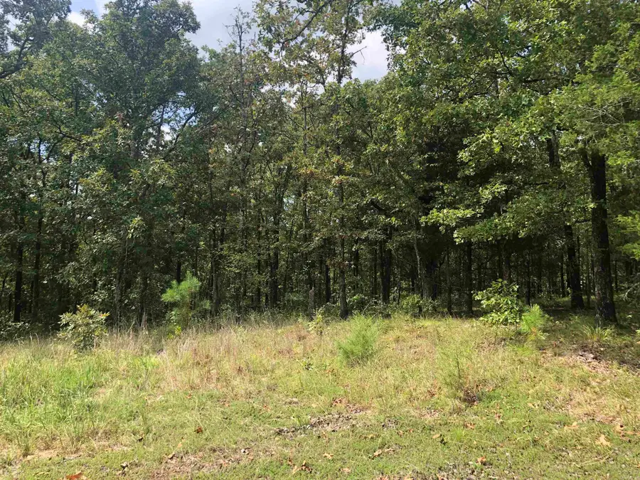 Address Withheld By Seller, Vilonia, AR 72173 - #2