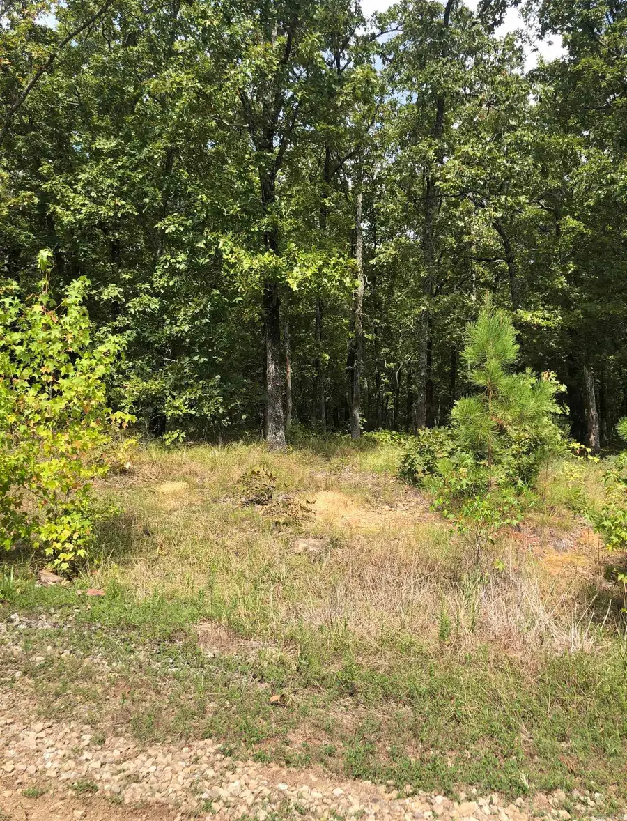 Address Withheld By Seller, Vilonia, AR 72173 - #3