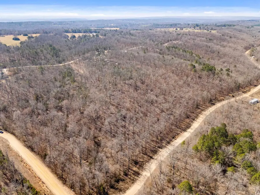 Lot 19-24,40,41 Anna Marie Drive, Springfield, AR 72157 - #2