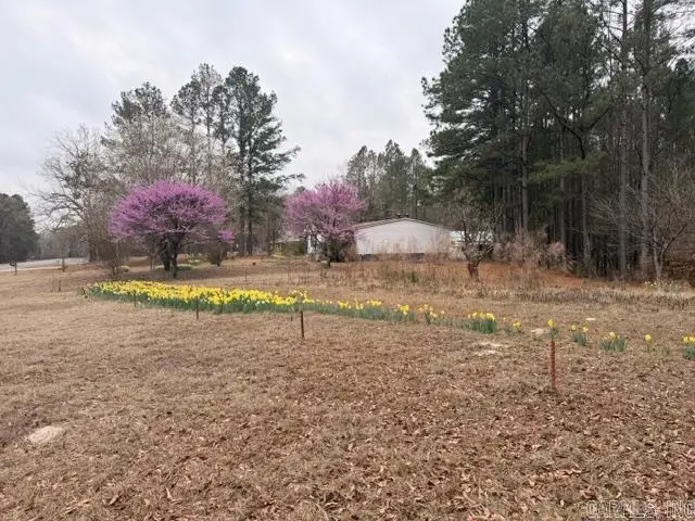 4408 Hwy 376 S, Louann, AR 71751 - #3