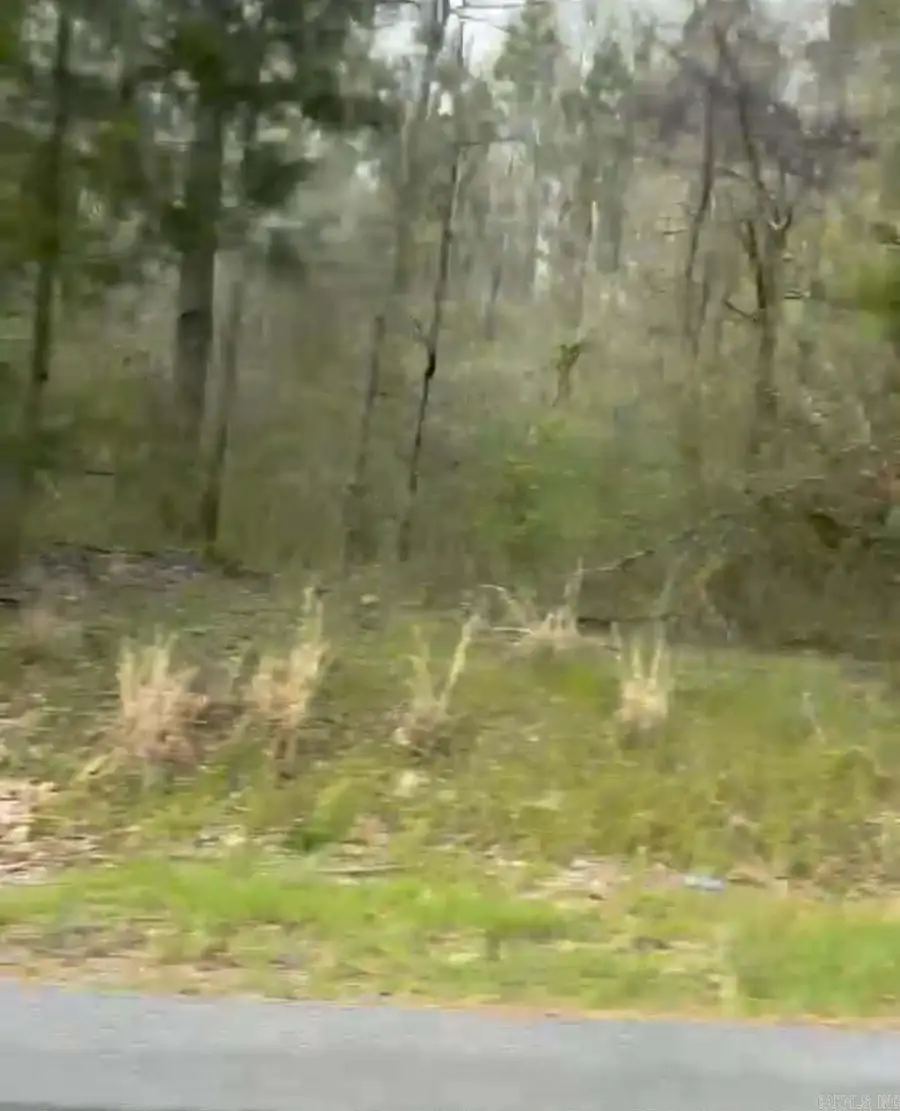 Shannon & Oakwood, Pine Bluff, AR 71603 - #3