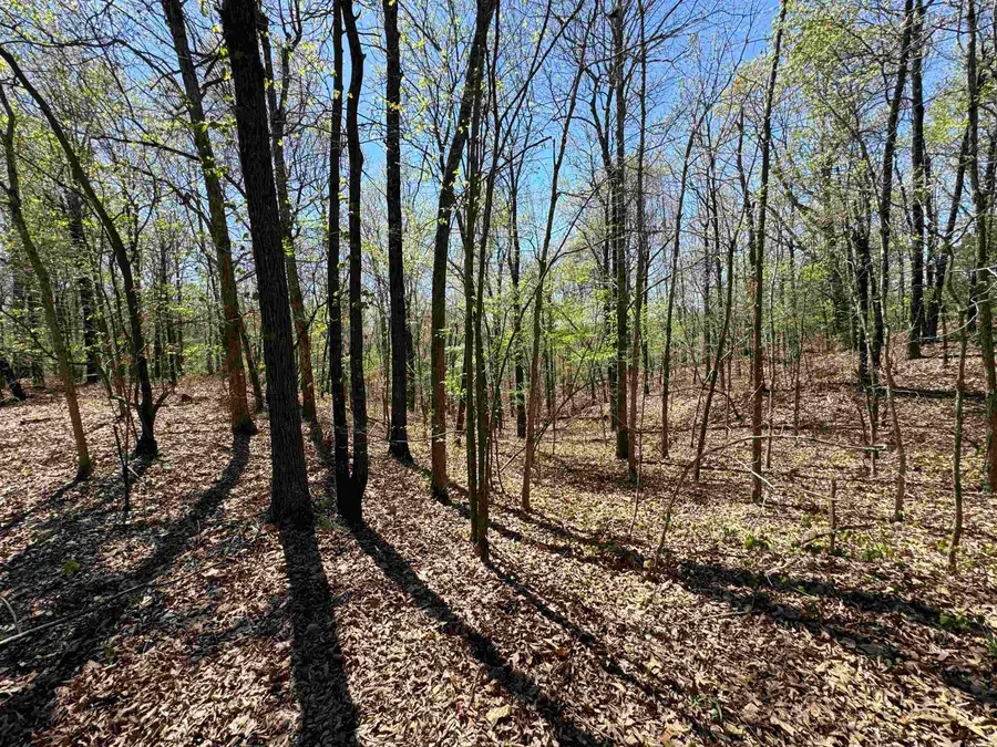 0 Clay Rd 431, Pollard, AR 72456 - #2