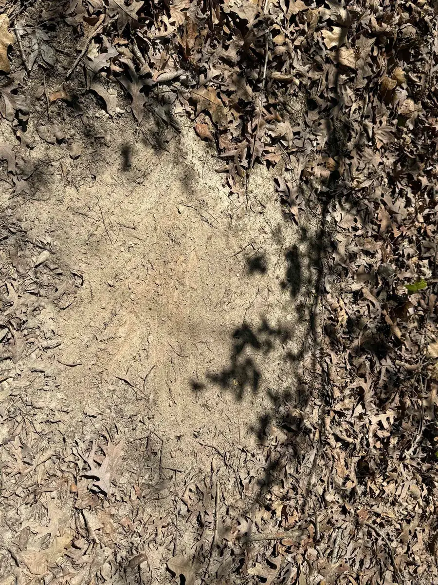 0 Clay Rd 431, Pollard, AR 72456 - #3