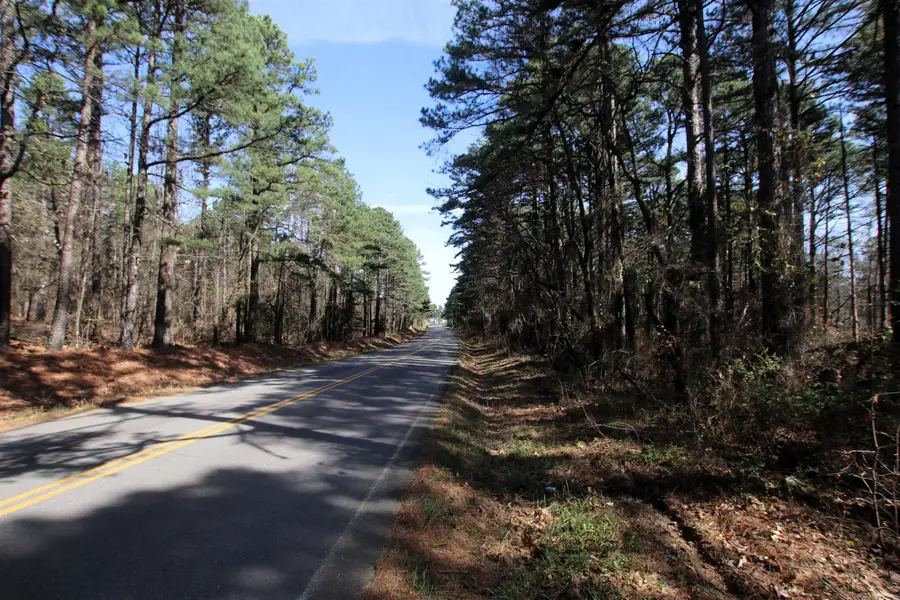 2986 E Mountain Road, Clinton, AR 72031 - #3