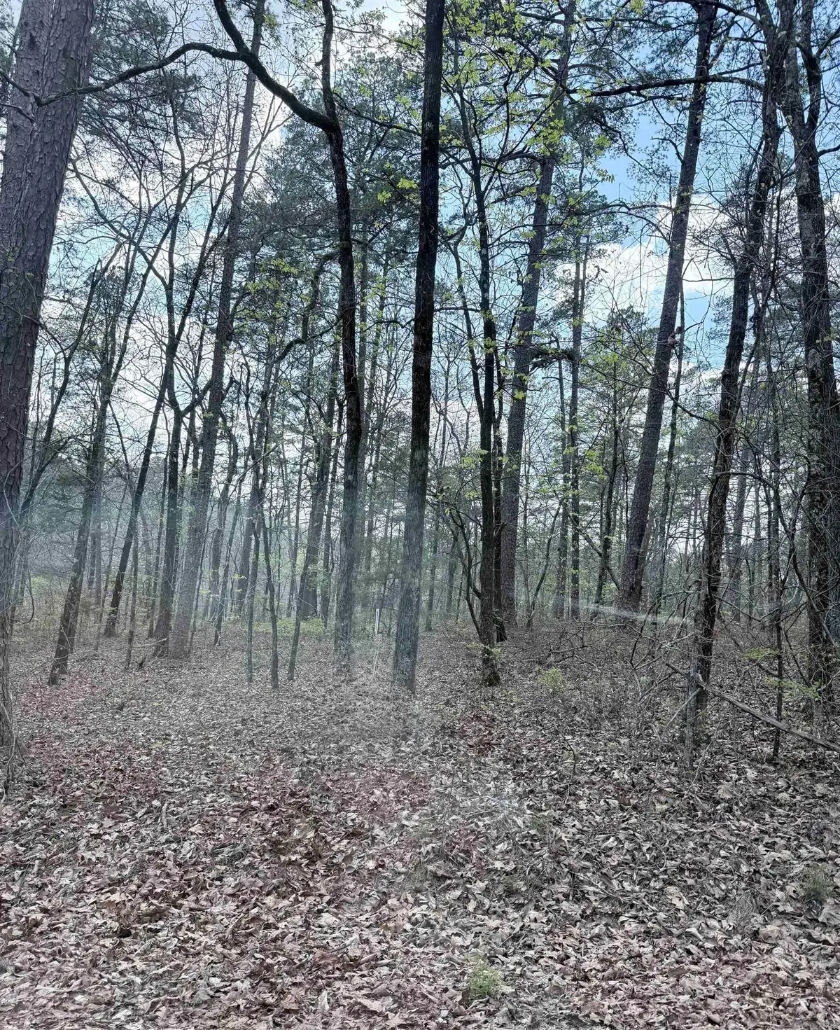 6 Tafalla Place, Hot Springs Village, AR 71909 - #1