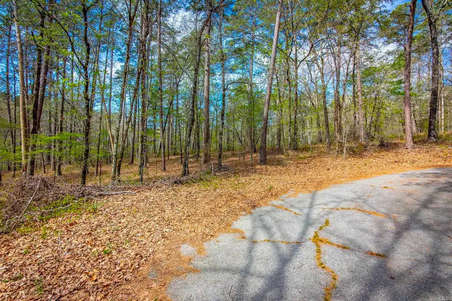 6 Tafalla Place, Hot Springs Village, AR 71909 - #3