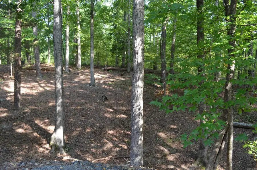 Address Withheld By Seller, Hot Springs Village, AR 71909 - #3