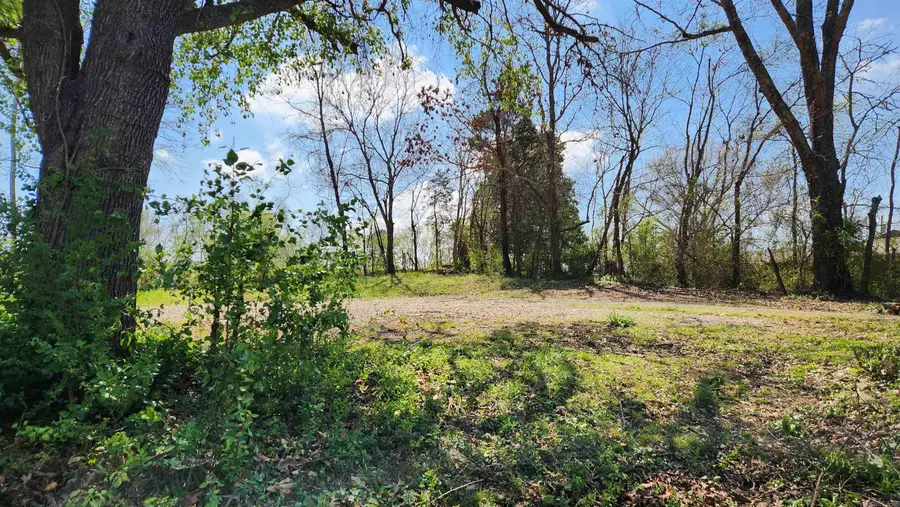 121 Watkins Lane, Mount Ida, AR 71957 - #3