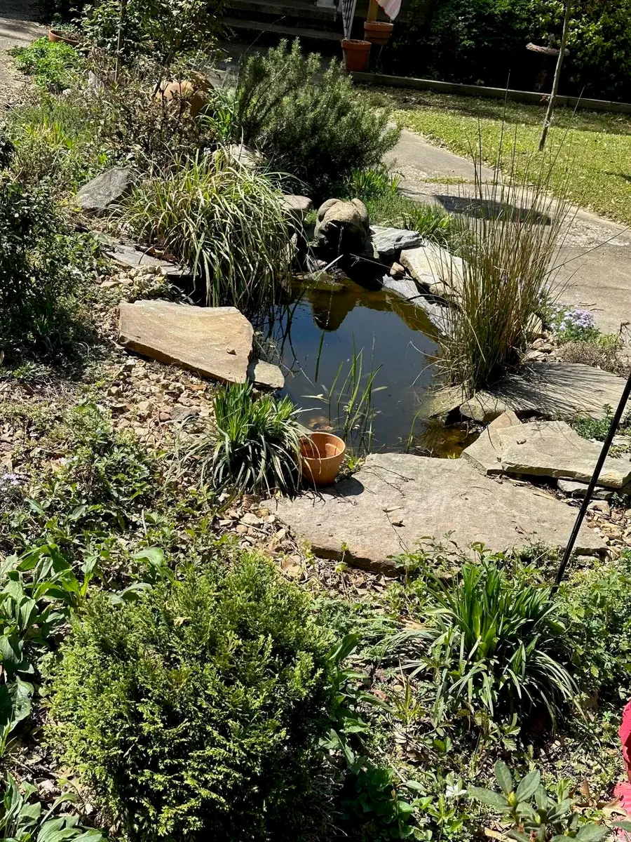 1223 Jameson Ave, Benton, AR 72015 - #3