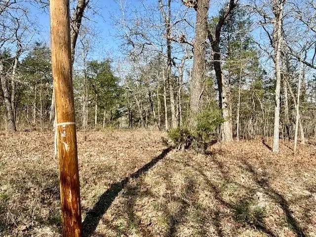 Address Withheld By Seller, Cherokee Village, AR 72529 - #2