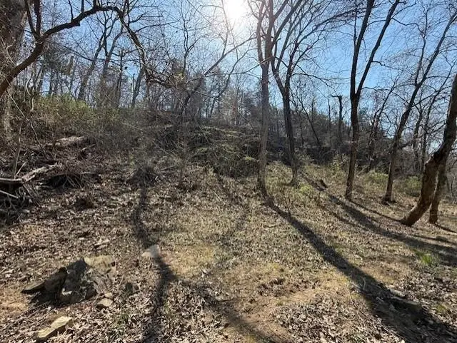 Address Withheld By Seller, Cherokee Village, AR 72529 - #3