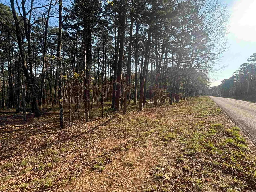 160 Mazarron Drive, Hot Springs Village, AR 71909 - #2