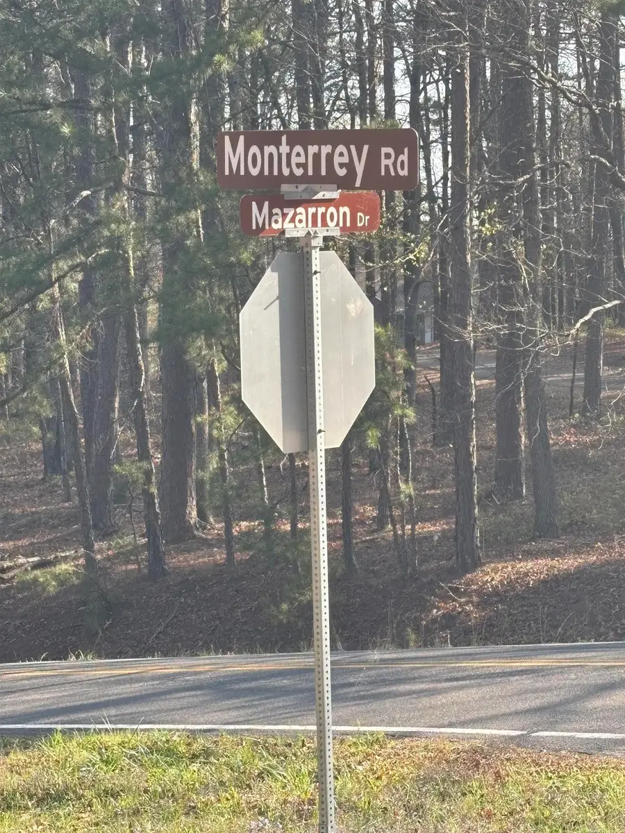 160 Mazarron Drive, Hot Springs Village, AR 71909 - #3