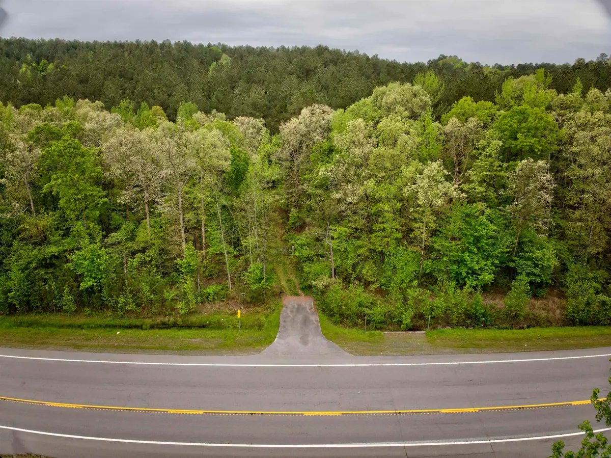 9319 Albert Pike Road, Royal, AR 71968 - #1
