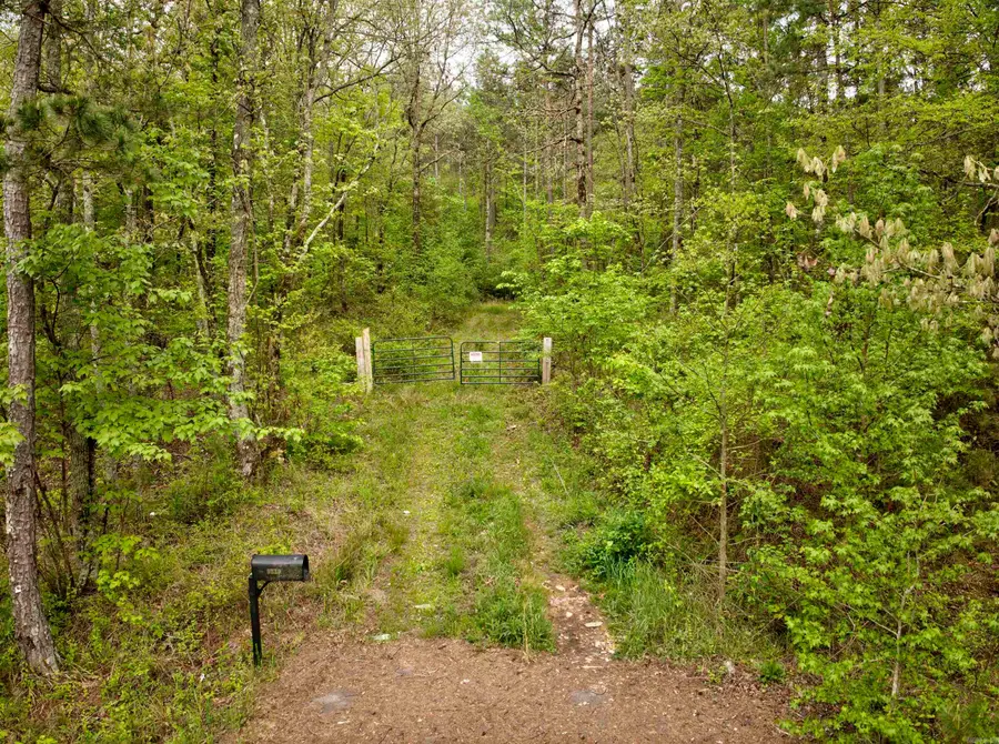 9319 Albert Pike Road, Royal, AR 71968 - #3