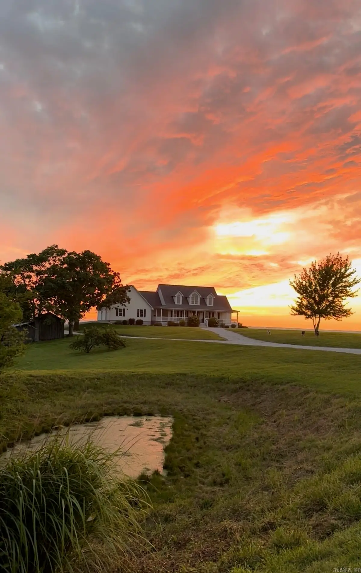 1636 S Maumee Road, Marshall, AR 72650 - #1