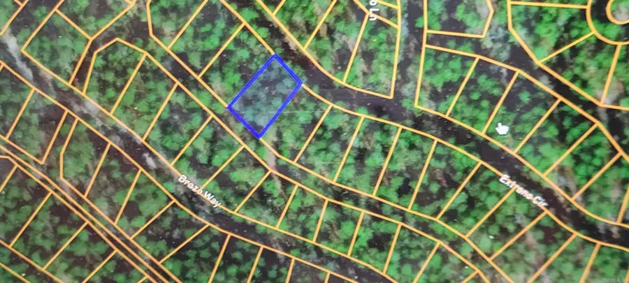 XXX Extrano Circle, Hot Springs Village, AR 71909 - #3