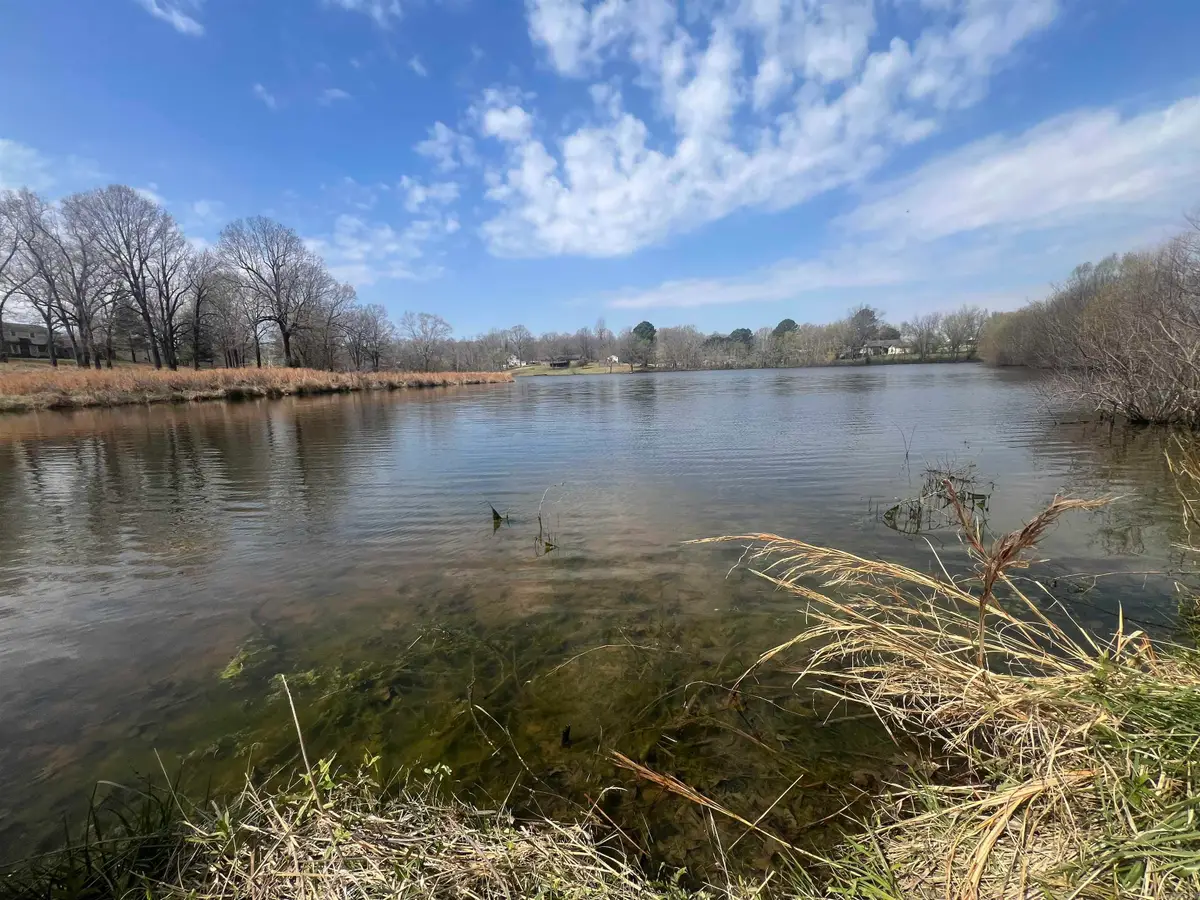 2011 S Lakewood Drive, Piggott, AR 72454 - #1