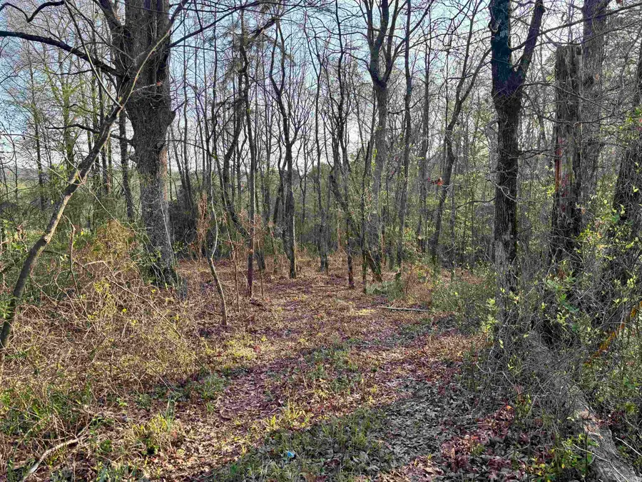 xxx W Highway 84, Glenwood, AR 71943 - #2