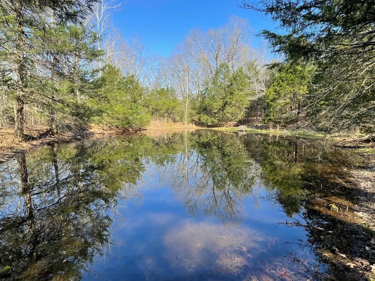 4240 Blackwell Den, Warm Springs, AR 72478 - #1