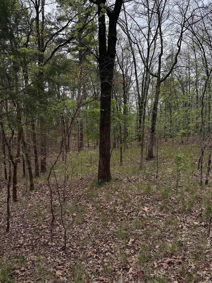 0 Julian, Hot Springs, AR 71913 - #2