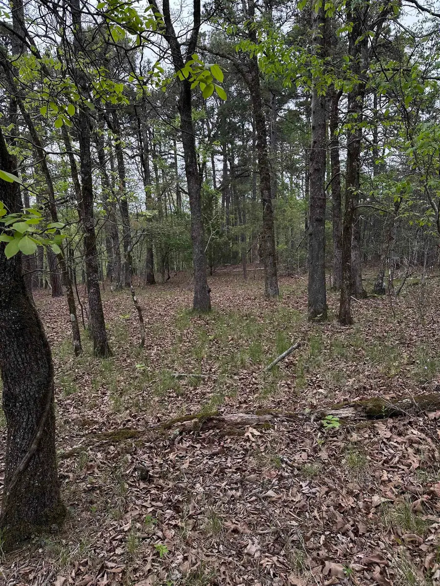 0 Julian, Hot Springs, AR 71913 - #3