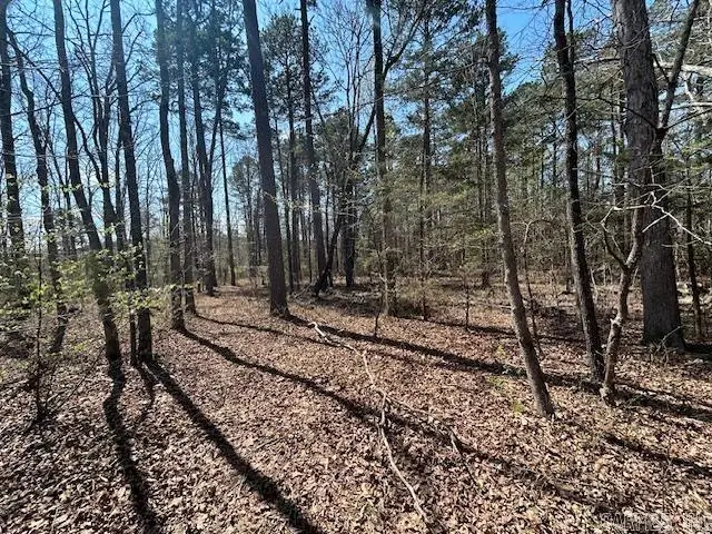 114 Coyote Canyon Road, Shirley, AR 72153 - #3