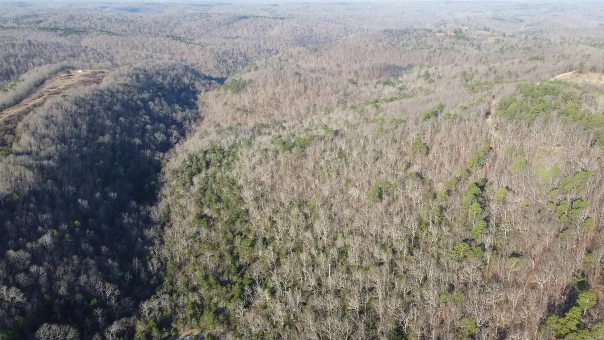 Address Withheld By Seller, Harriet, AR 72639 - #1