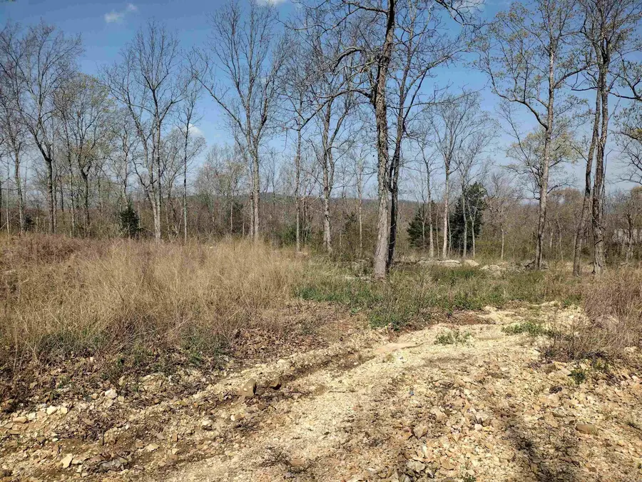 0 Harness Rd, Mountain View, AR 72560 - #2