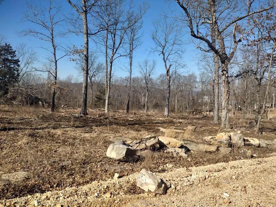 0 Harness Rd, Mountain View, AR 72560 - #3