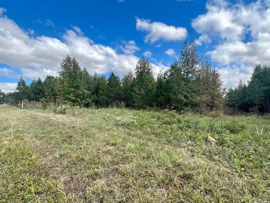 00 Hwy. 49, Brookland, AR 72417 - #3