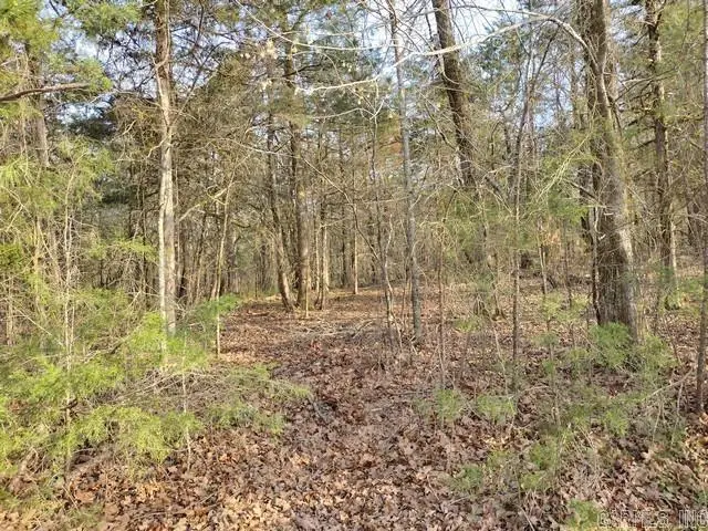 6 Riqueza Lane, Hot Springs Village, AR 71909 - #3