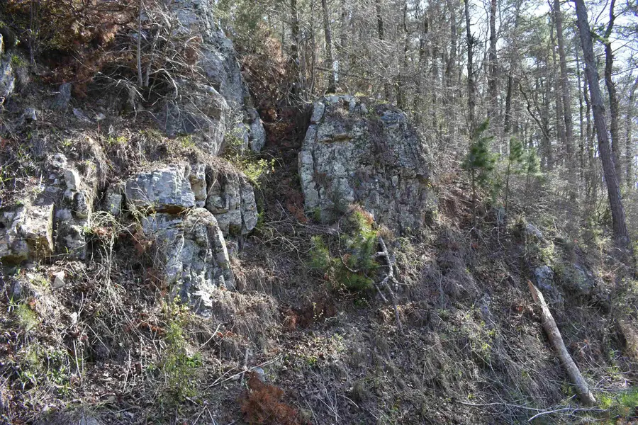 0000 Old Dallas Road, Norman, AR 71960 - #2