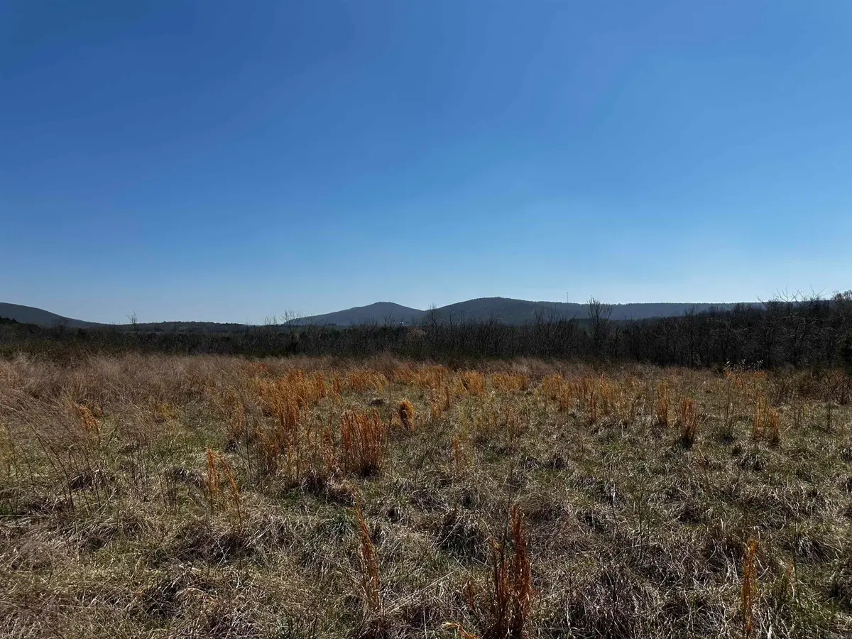 000 Horton Hill Road, Alco, AR 72680 - #1