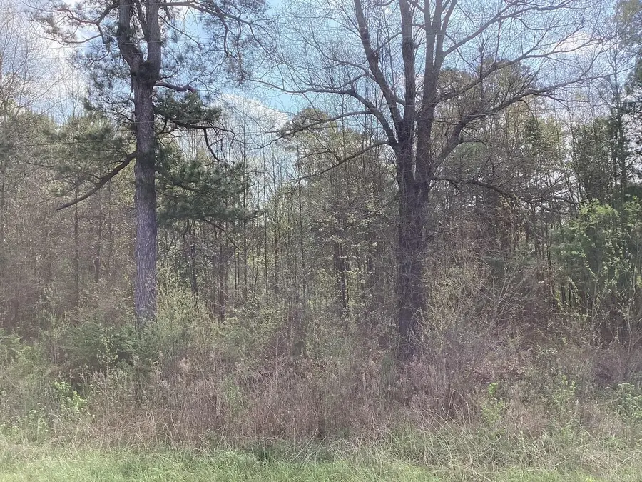 4736 Hwy 29 S, Hope, AR 71801 - #2