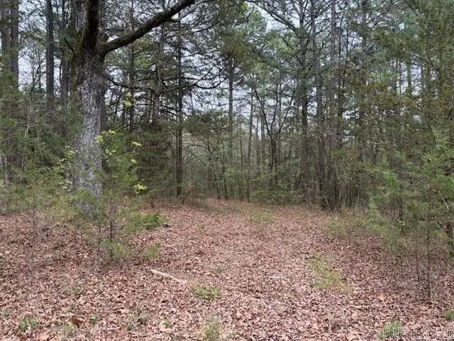 40 Acres Fs Rd 1436, Clarksville, AR 72830 - #2