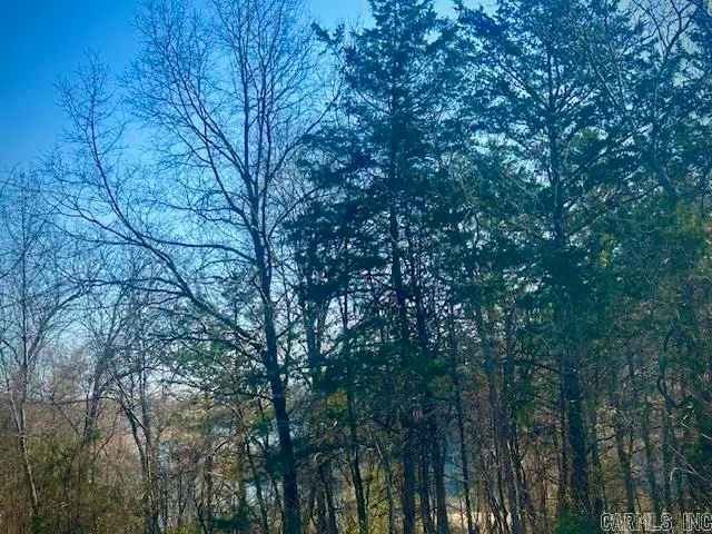 0 Cr 8060, Yellville, AR 72687 - #2